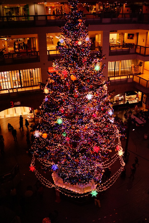 札幌ファクトリーでクリスマスツリーを撮る