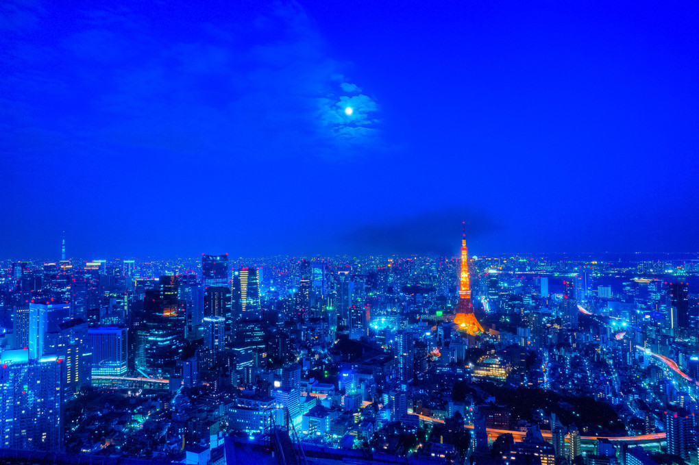 TOKYO MOON NIGHT