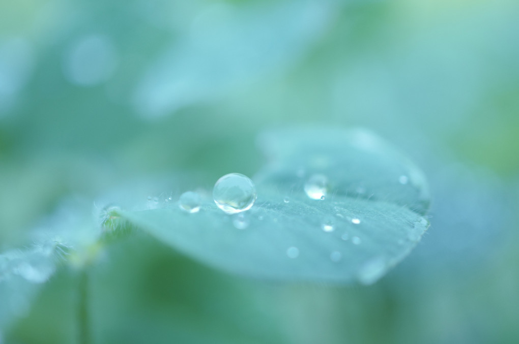 雨上がり