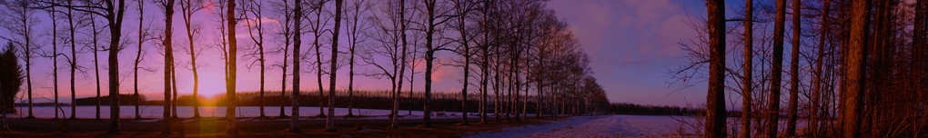 十勝の風景1775　夕暮れの育成牧場のパノラマ
