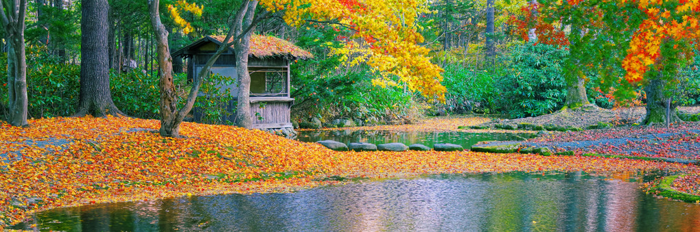 十勝の風景1461　真鍋庭園