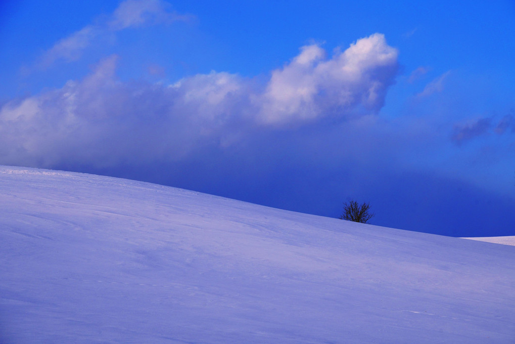 十勝の風景1765　青い雪原