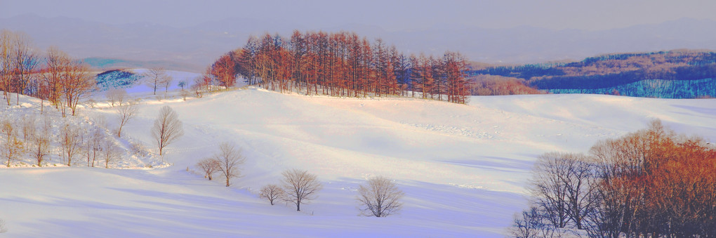 十勝の風景1769　雪の牧場