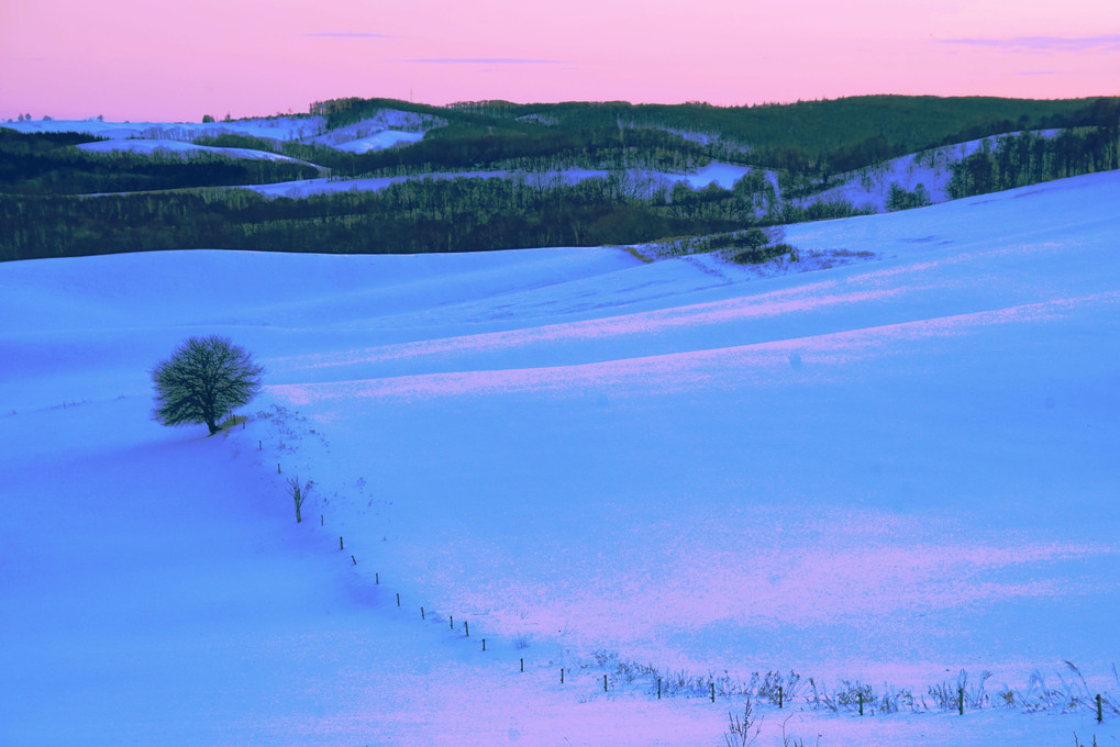 十勝の風景1771 雪原の夕暮れ