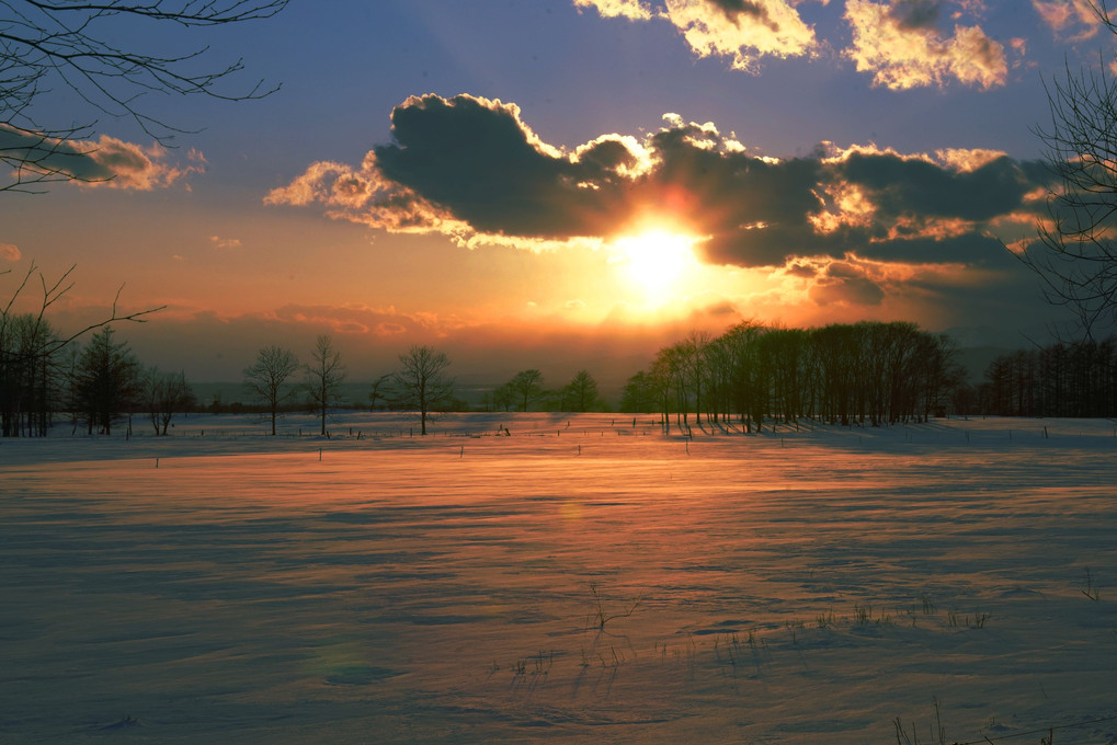 十勝の風景1779　雪原の夕暮れ  