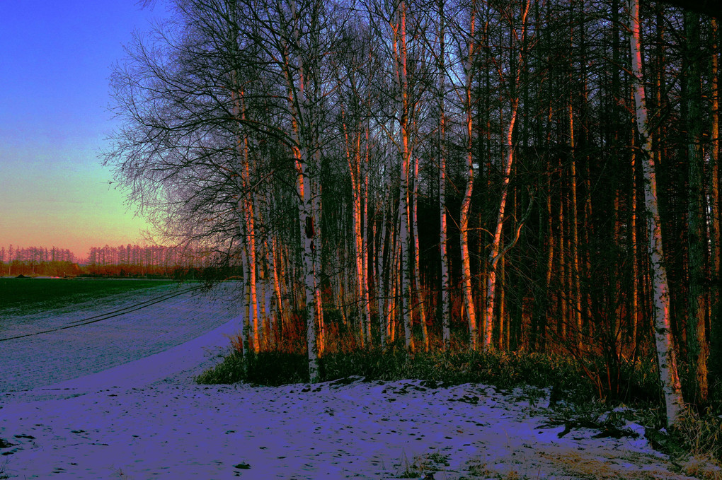 十勝の風景1968　初冬の夕暮れ