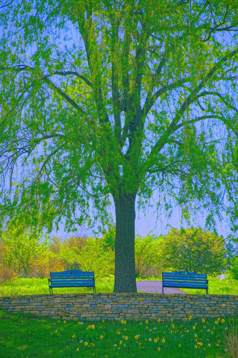 十勝の風景1821　青いベンチの有る風景