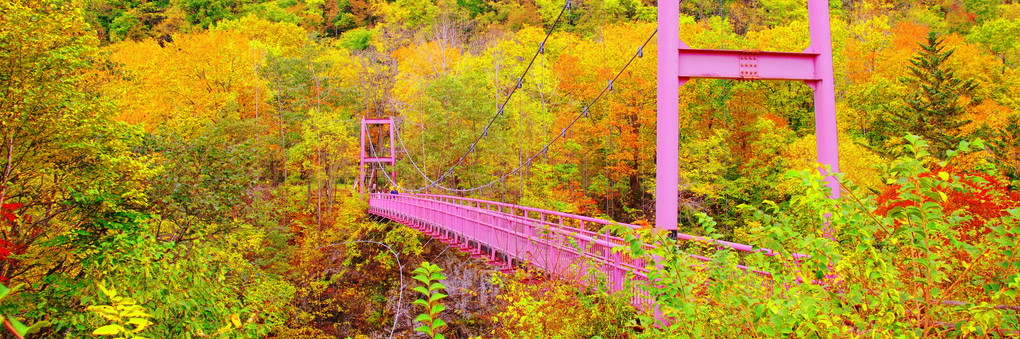 十勝の風景1485　桃色の橋がある風景