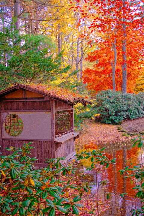 十勝の風景1501　真鍋庭園