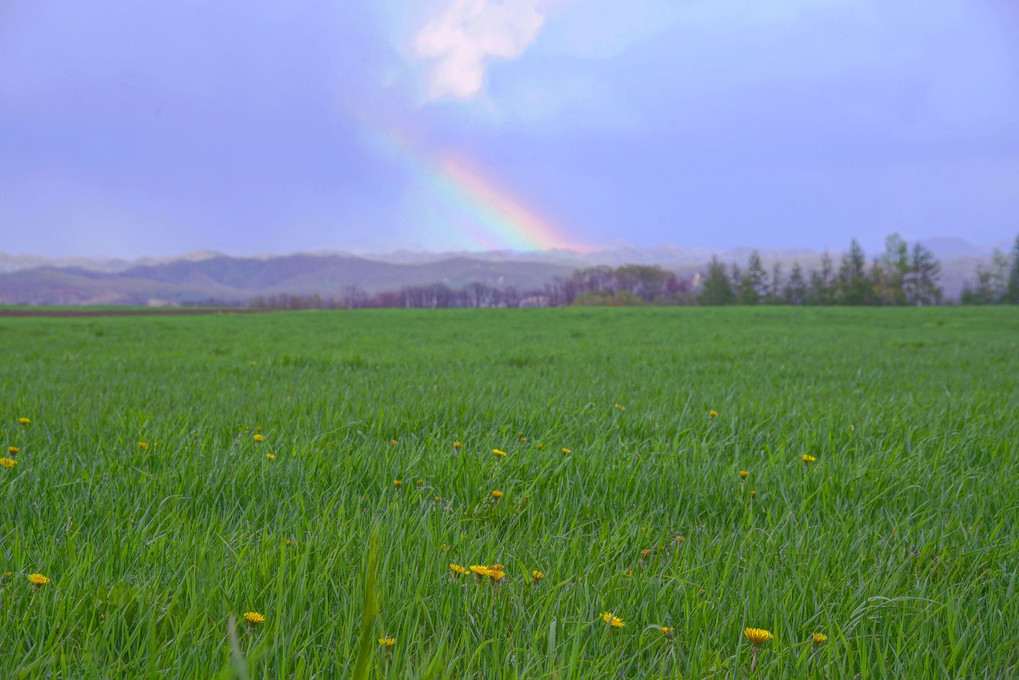 十勝の風景1421 春の虹