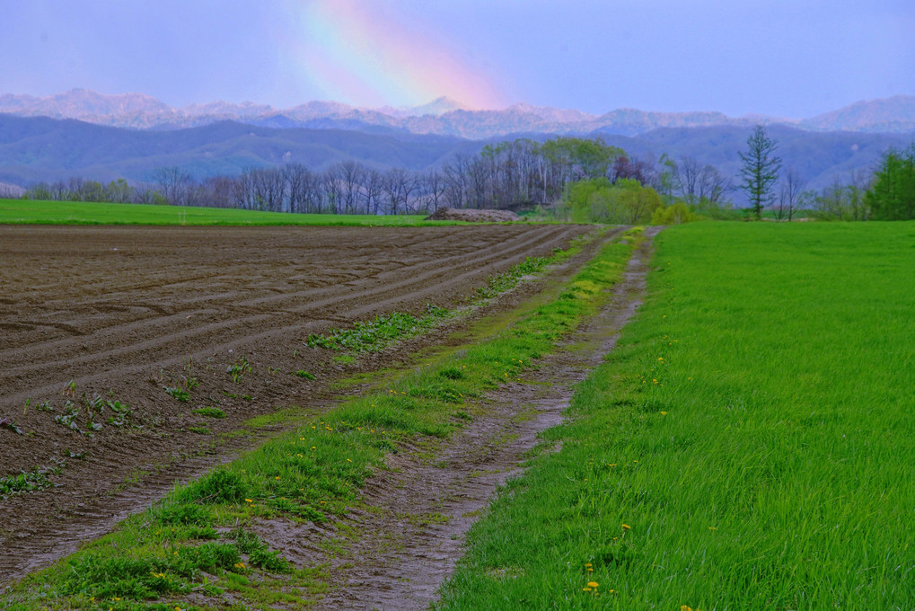 十勝の風景1422　虹のある春風景
