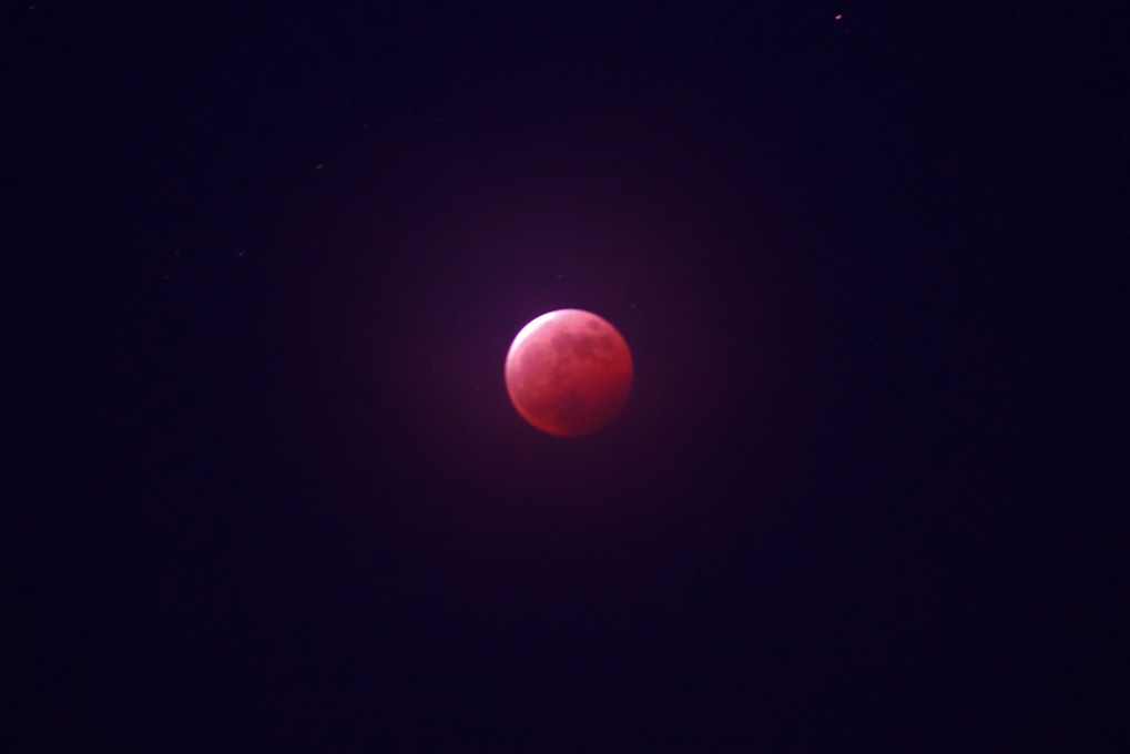 十勝の風景1428 Red super moon