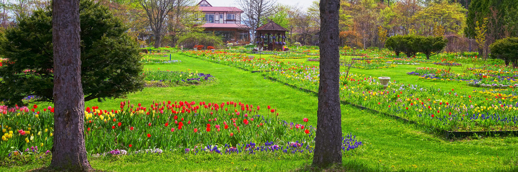 十勝の風景1435　紫竹ガーデンの5月Ｐ