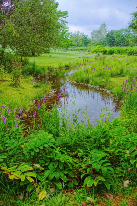 十勝の風景1580　六花の森①