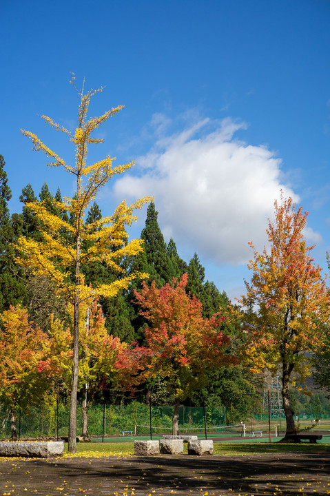 yakushi park