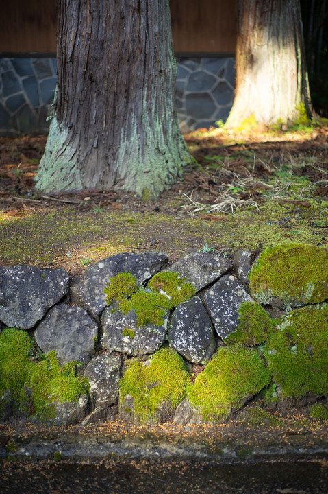 aoshi-shrine