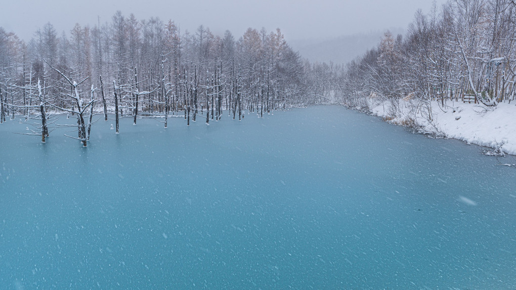 凍結直前の青い池