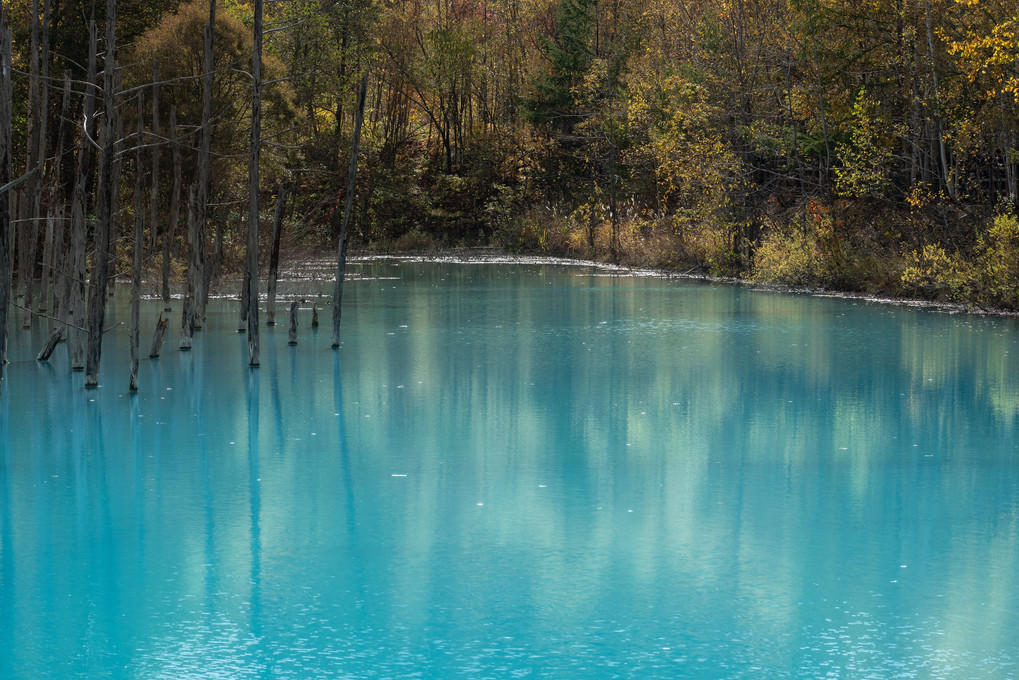 Blue pond in autumn