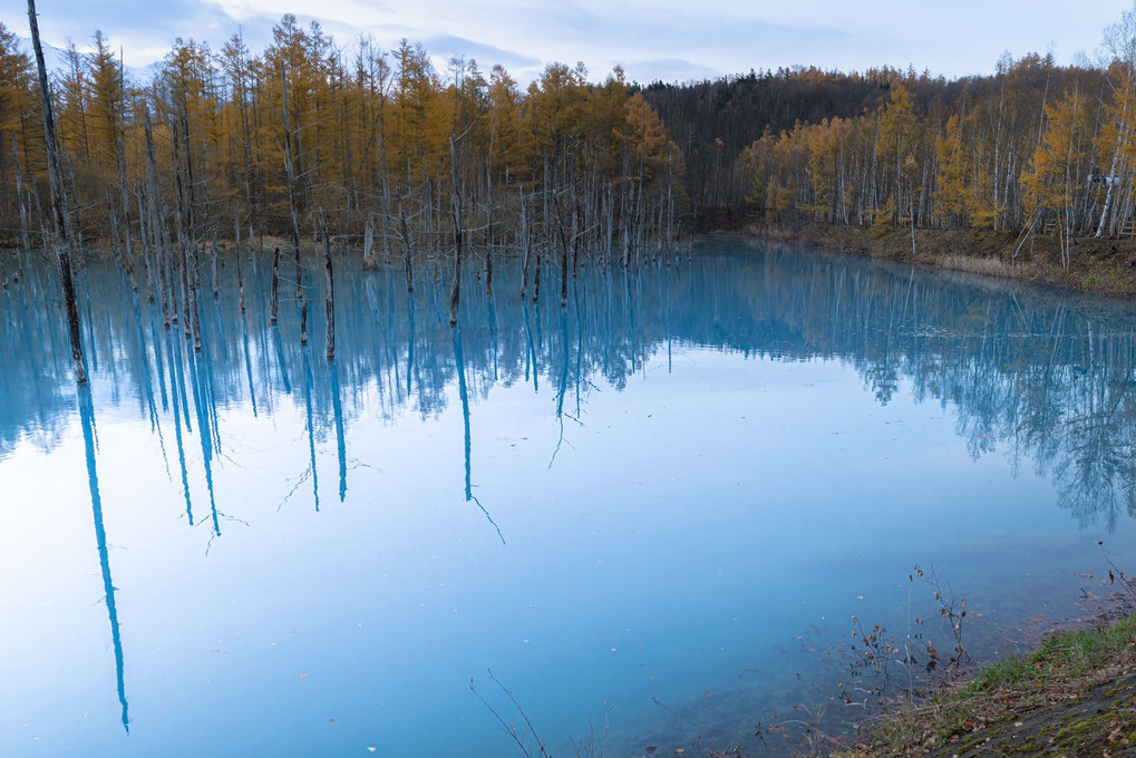 Blue pond in early morning