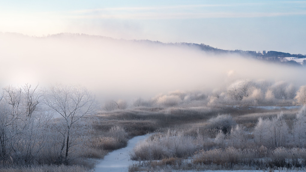 Cold Winter Morning