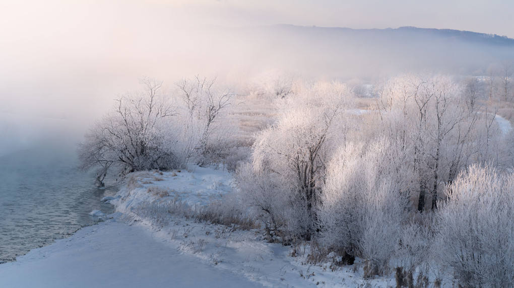 Rime shining in the morning sun