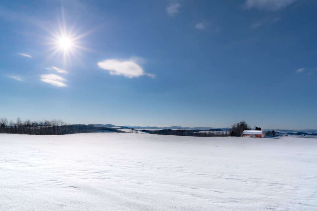 Snowfield and Sun
