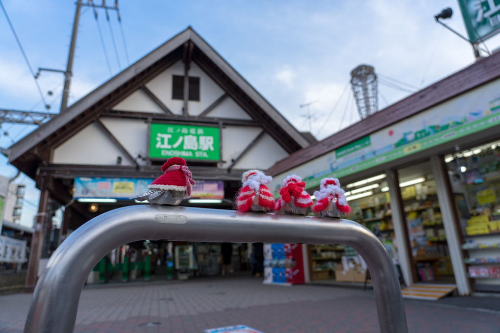 冬の江ノ電ぶらり途中下車のたび