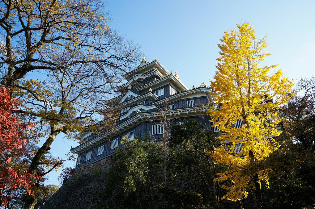 紅葉の後楽園〜岡山城