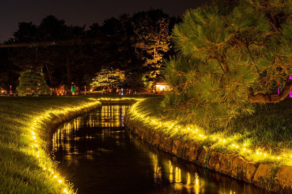 夏の幻想庭園2019