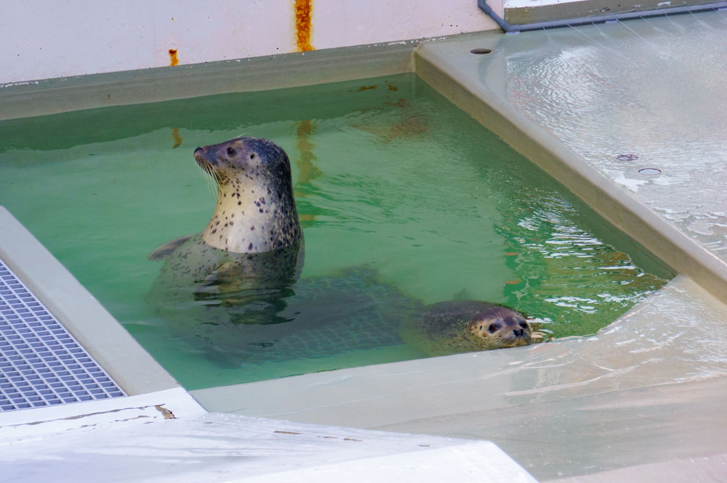 水族園にて