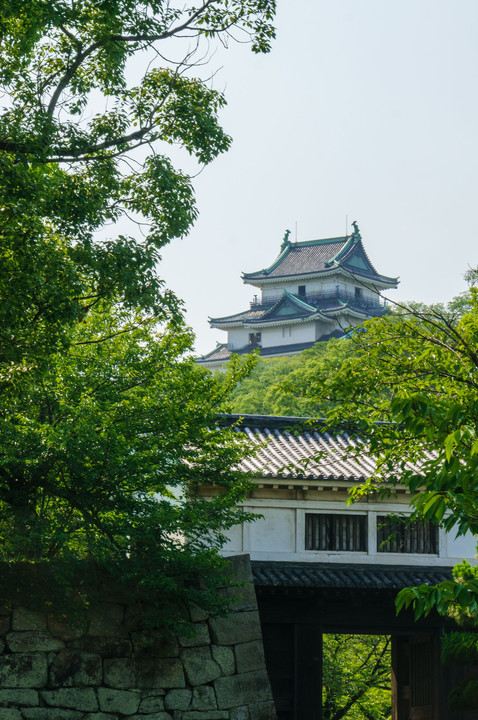 和歌山（虎伏）城