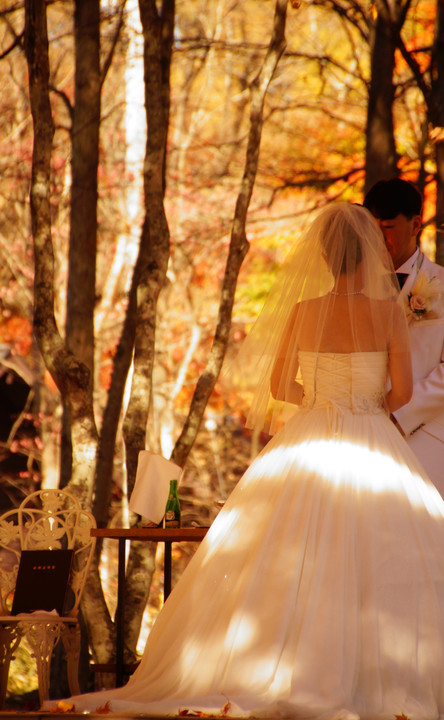 Autumn　Wedding　♡