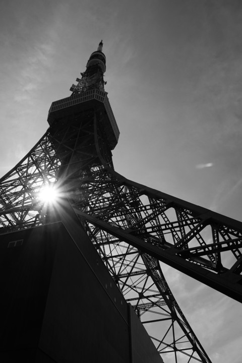 『Tokyo Tower』