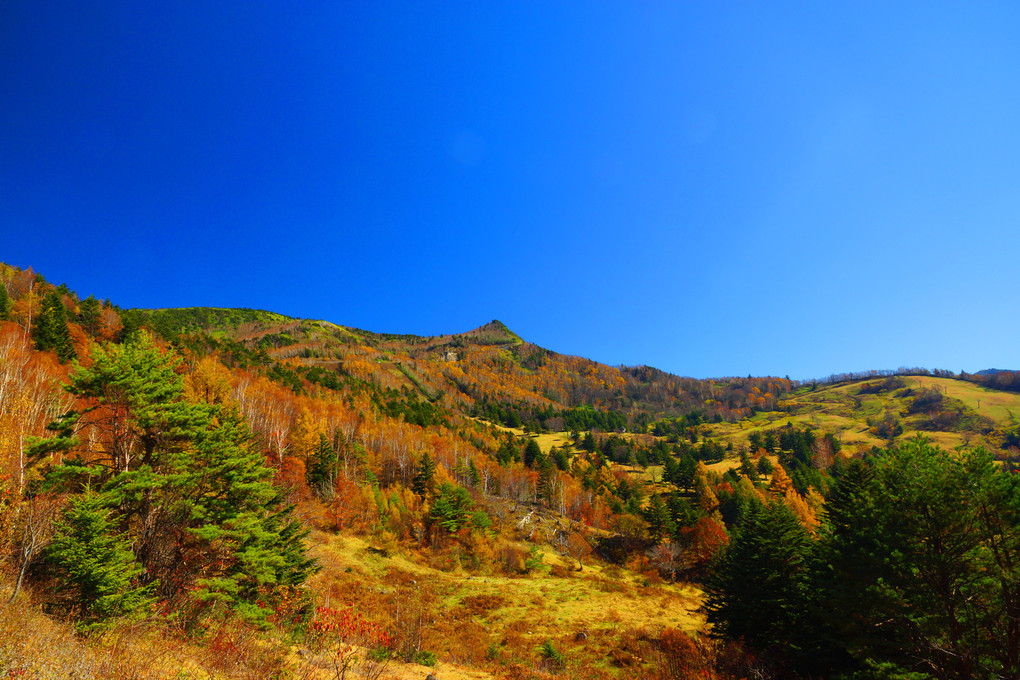 秋晴れの笠ヶ岳