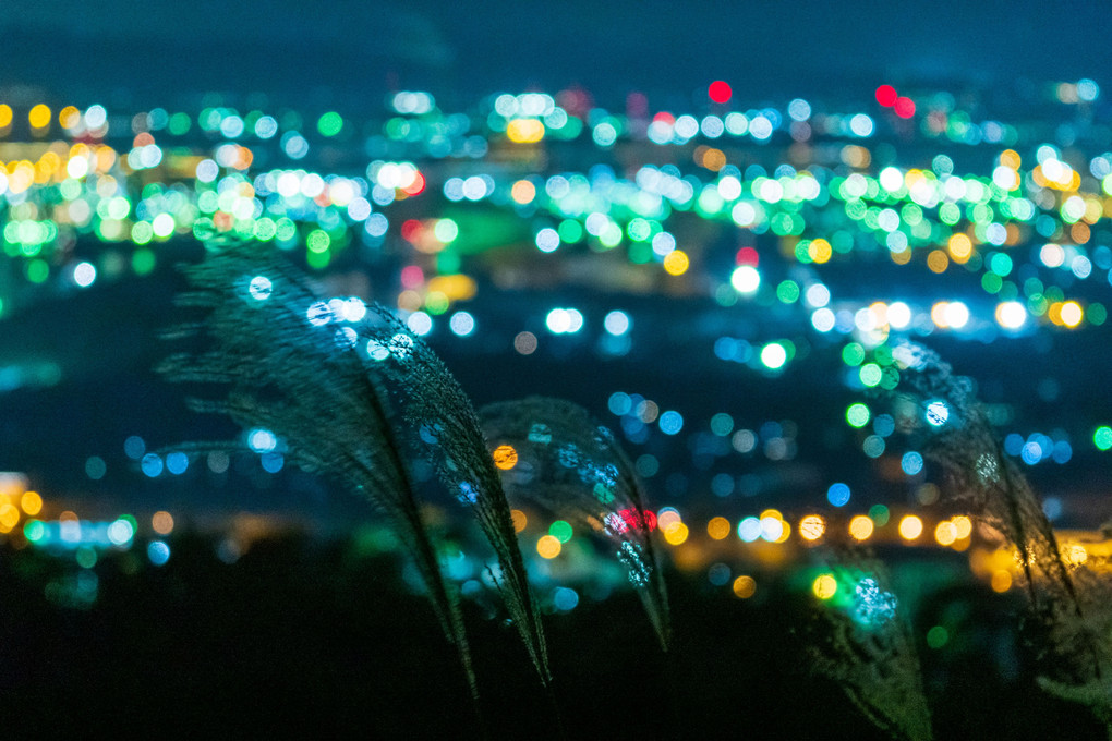 水島の夜景