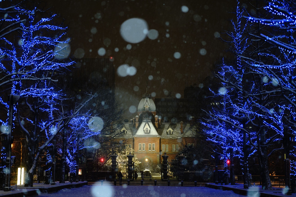雪降る赤れんが庁舎
