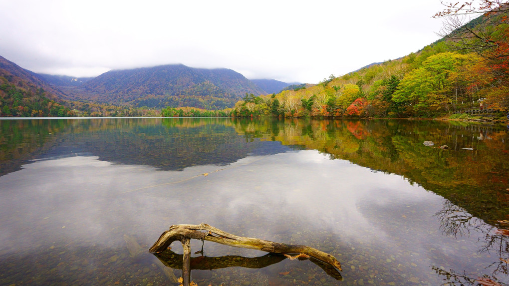 奥日光　湯ノ湖の秋