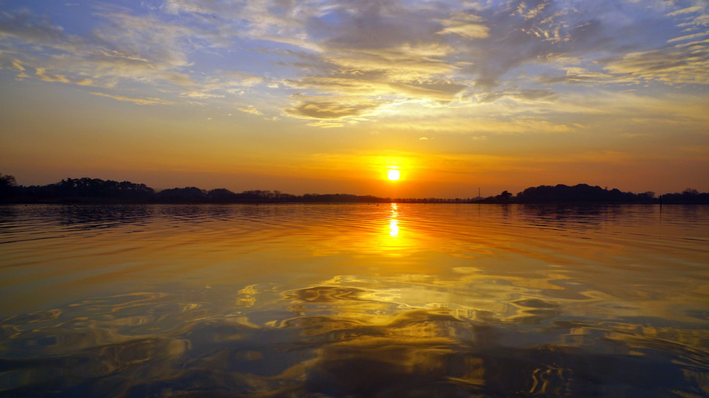 華やぐ多々良沼夕景