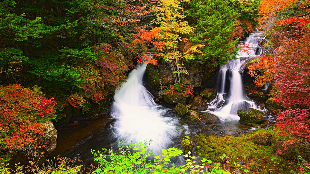 秋色の竜頭の滝