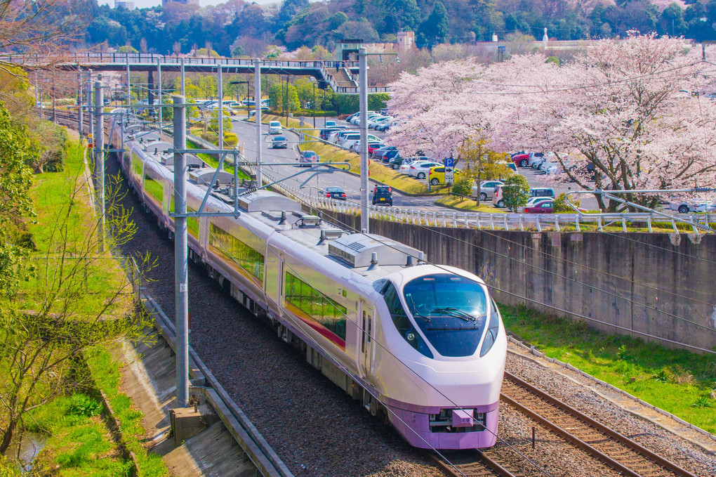 桜と安中貨物 in 茨城