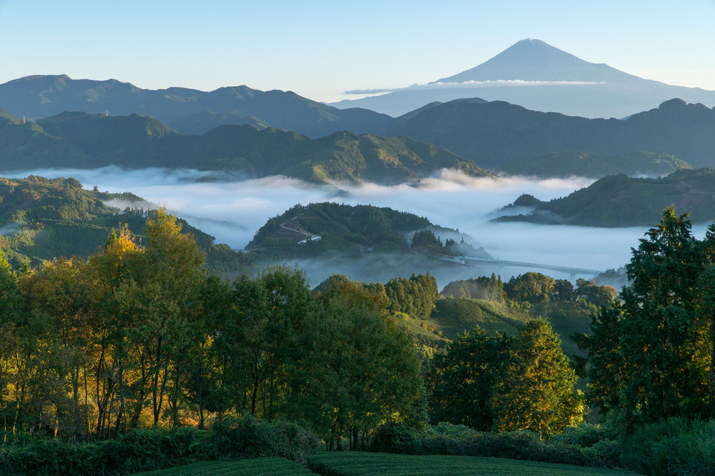 秋の雲海と富士山