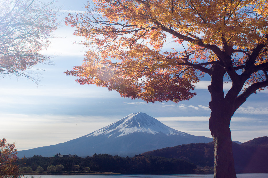 紅葉を纏う富士山