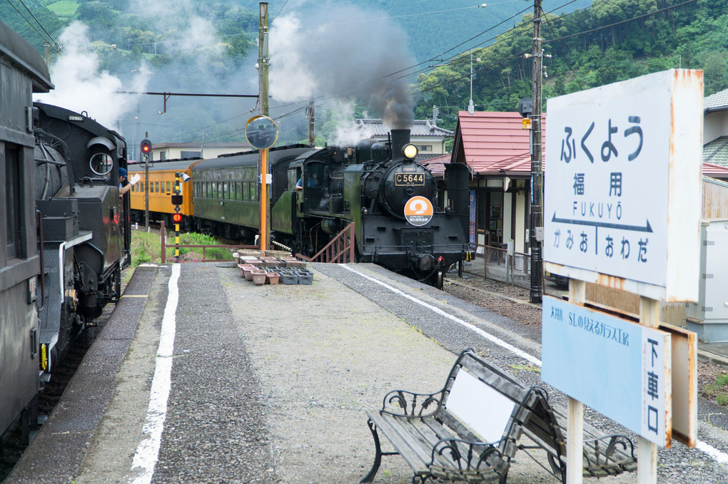 ６月の大井川鐵道