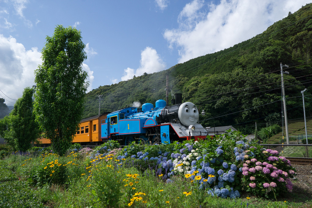 トーマスの季節がやってきました！