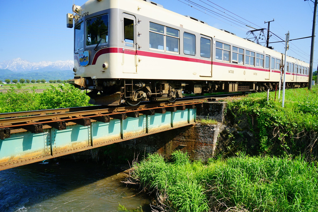 老雄の晴れ舞台