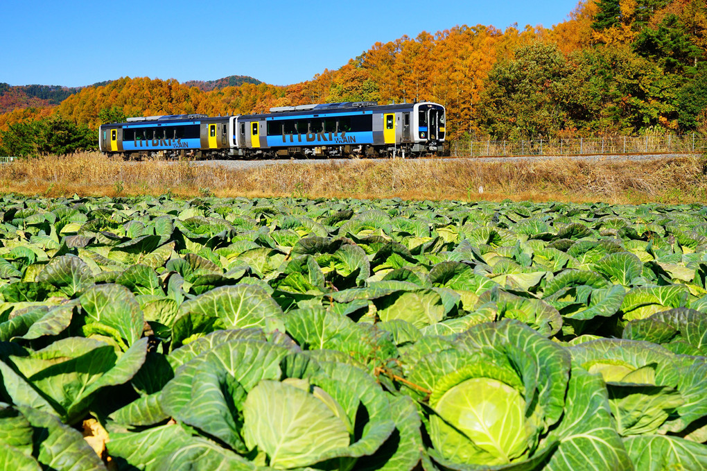 高原野菜と列車
