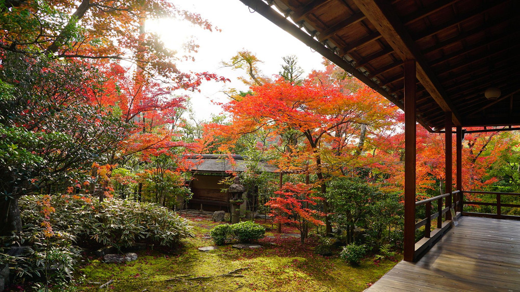 大法院