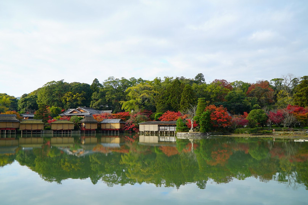 京都・紅葉巡り