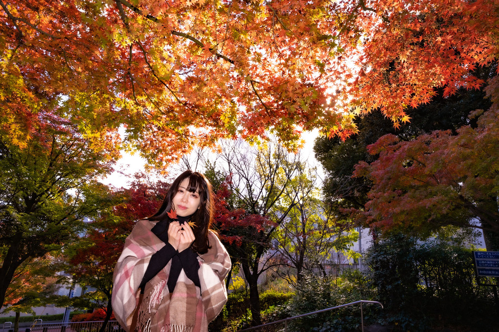 Ika-chan in 紅葉山公園 on 2021.11.27