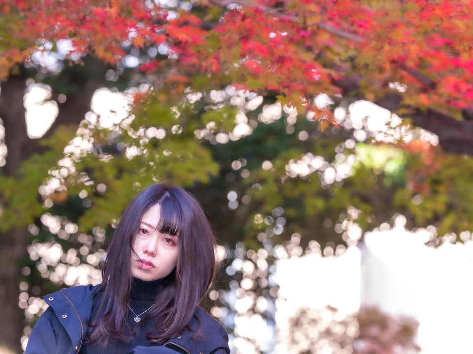 Ika-chan in 紅葉山公園 on 2021.11.27
